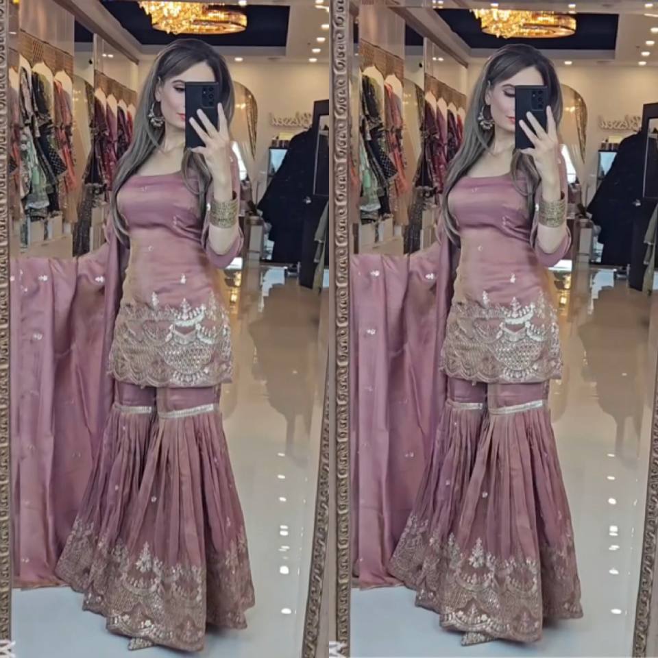 Neutral Silk With Heavy Embroidery Work With Fancy Borders Less Work Sleeve With Fancy Latkan Dori.