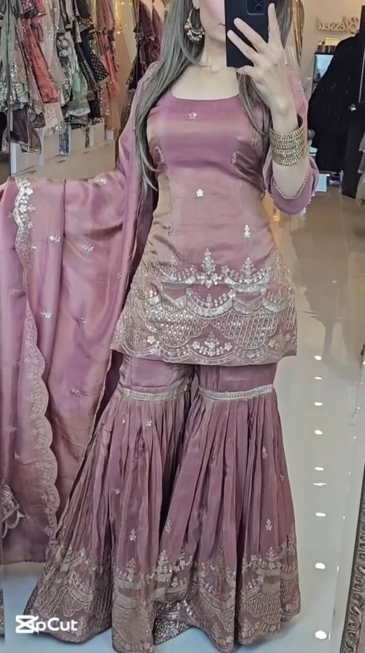 Neutral Silk With Heavy Embroidery Work With Fancy Borders Less Work Sleeve With Fancy Latkan Dori.