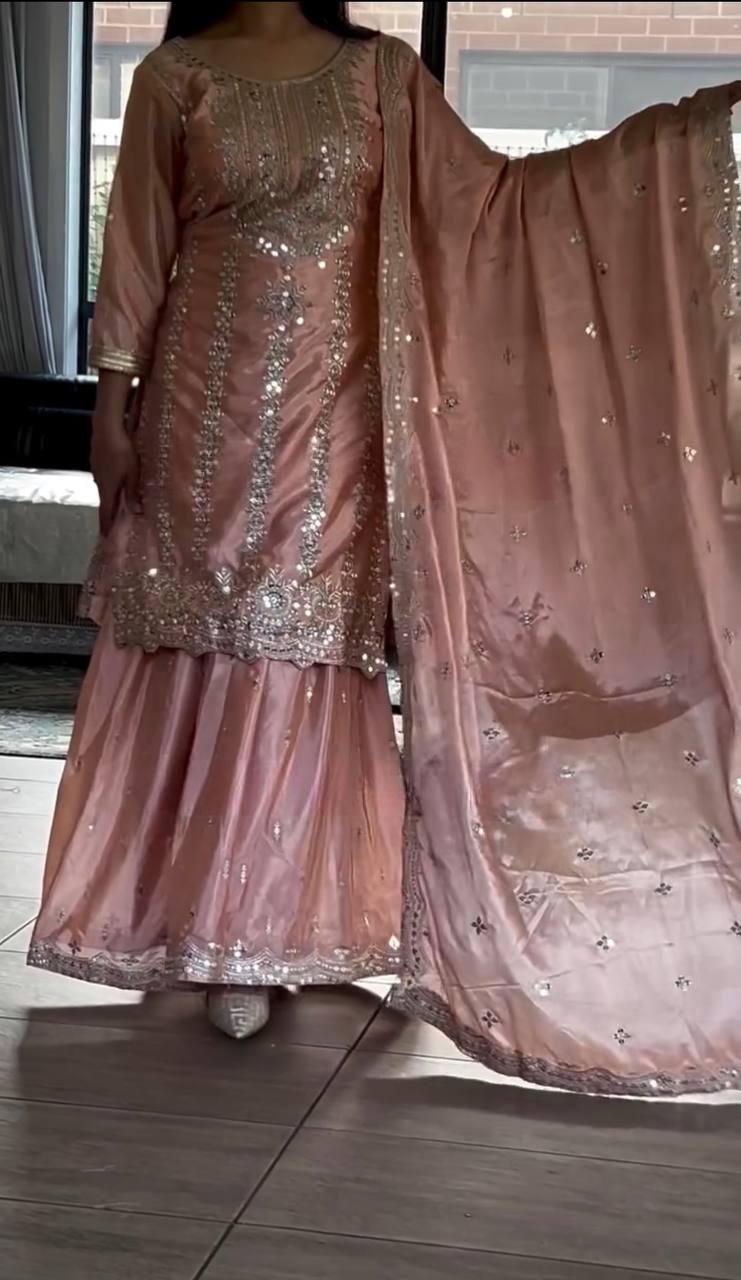 Pure Heavy Chinnon Silk With Heavy Embroidery Work With Fancy Borders Less Work Sleeve With Fancy Latkan Dori