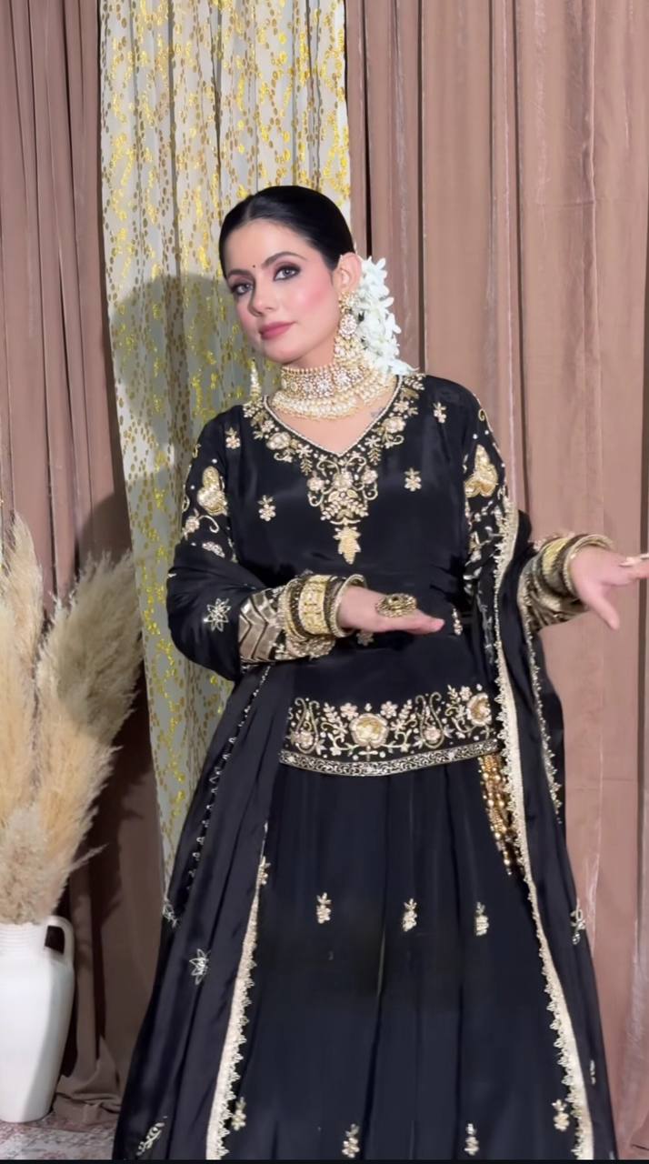 neutral Crep silk  Fancy Border Work